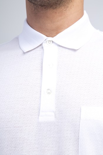 Polo Yaka Regular Fit Süprem Pamuk Tişört