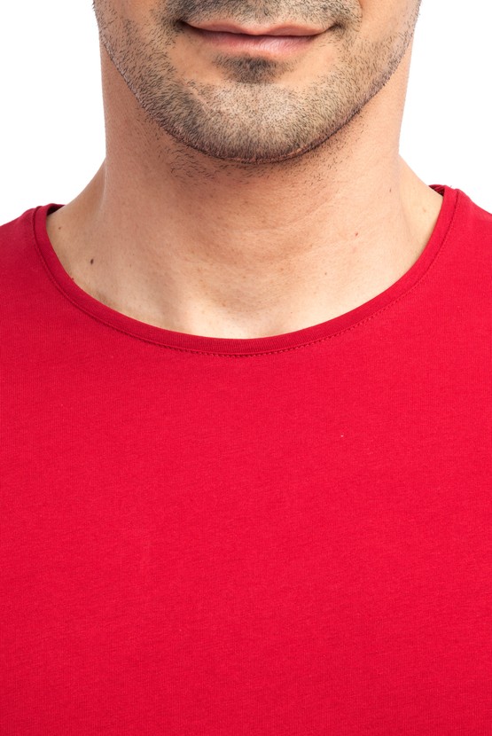 Erkek Giyim - Bisiklet Yaka Regular Fit Nakışlı Tişört
