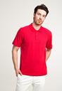  Kırmızı  Polo Yaka Düz Regular Fit Tişört