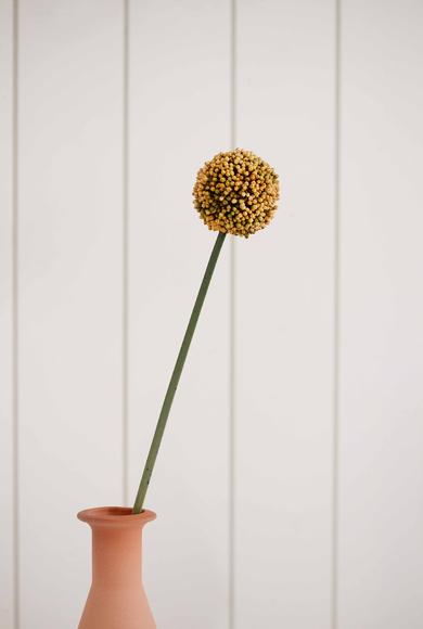 Erkek Giyim - AÇIK SARI  Beden Allium - Soğan Çiçeği